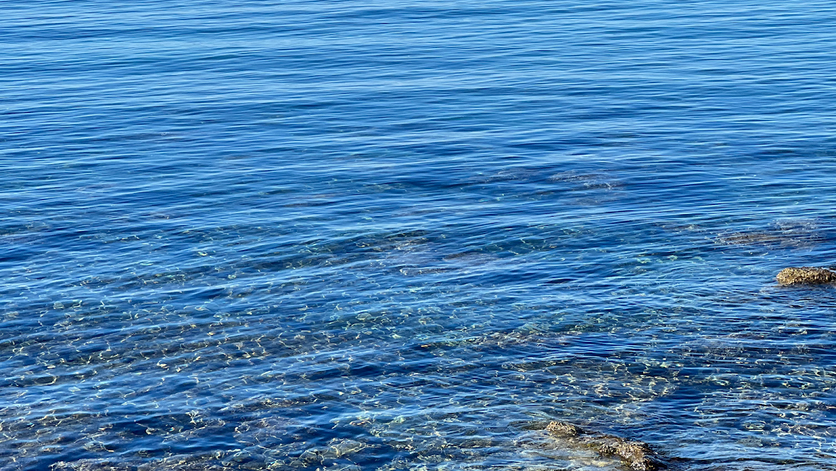 Eiss Caffe Bar Coco-3